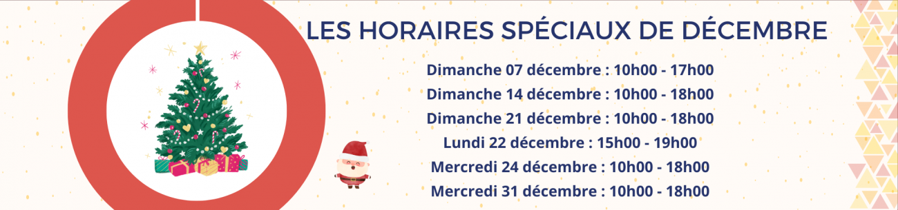 LES DIMANCHES DE DECEMBRE (2)